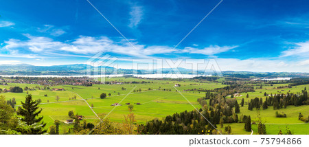 Green fields in Bavaria  in Germany 75794866