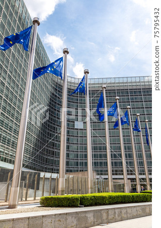 European flags  in Brussels 75795432