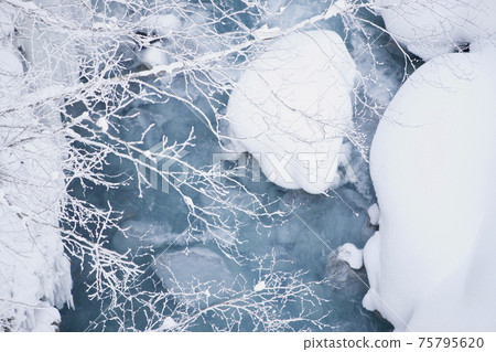 藍河和白雪 75795620