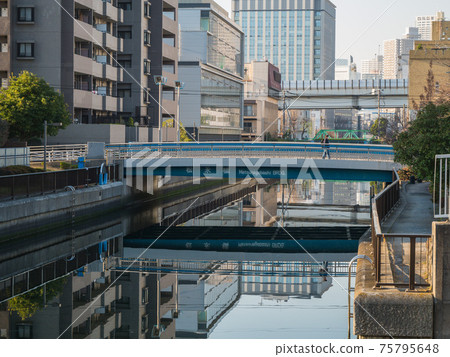 大島河西支流清晨 75795648