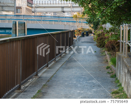 Oshima River West Tributary Early Morning 75795649