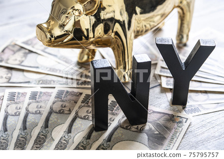 Lots of money and gold pigs 75795757