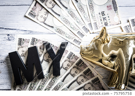 Lots of money and gold pigs 75795758