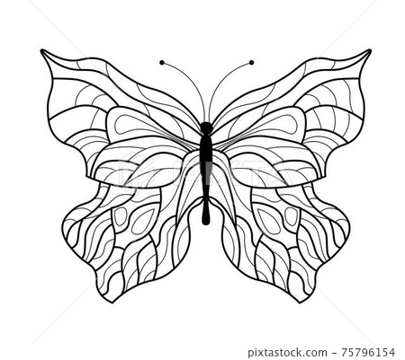 Butterfly coloring book. Linear drawing of a butterfly Butterfly coloring book. Linear drawing of a butterfly 75796154