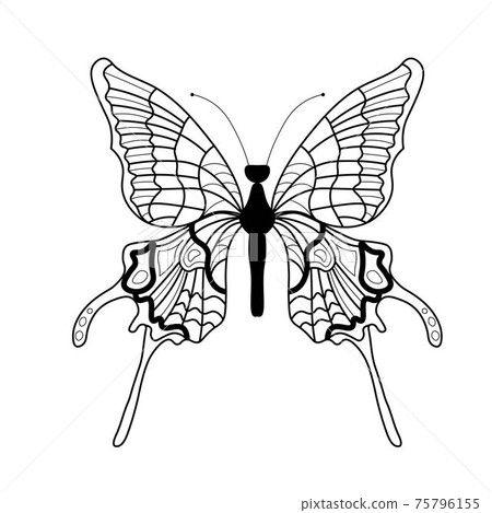 Butterfly coloring book. Linear drawing of a butterfly 75796155