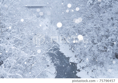 美瑛鎮在冬天下雪的美瑛河的風景 美瑛鎮在冬天下雪的美瑛河的風景 75796457
