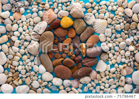Sea pebbles and shells on a blue background Sea pebbles and shells on a blue background 75796467