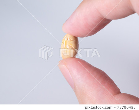 瀨戶豆,烤大豆 瀨戶豆,烤大豆 75796483
