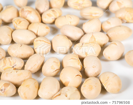 瀨戶豆,烤大豆 瀨戶豆,烤大豆 75796508