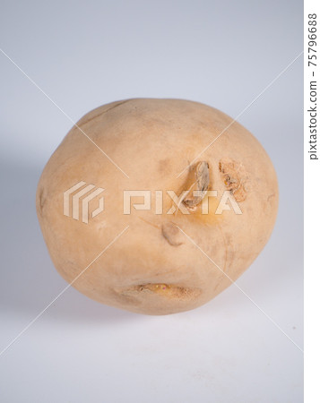 生馬鈴薯 75796688