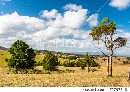 Queensland countryside landscape in the dry season 75797748