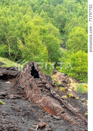 Outside view of Serracozzo volcanic cave on mount Etna, Italy 75797782