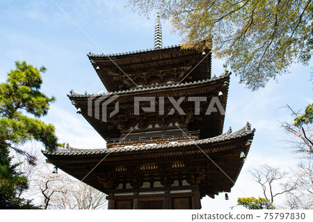 Samisen-en Triple Tower 75797830