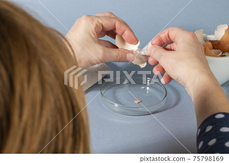 Women hands remowing eggshell membrane. Zero waste cosmetics. Women hands remowing eggshell membrane. Zero waste cosmetics. 75798169