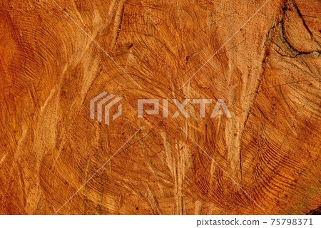 木材紋路背景在台灣山上. 木材紋路背景在台灣山上. 75798371