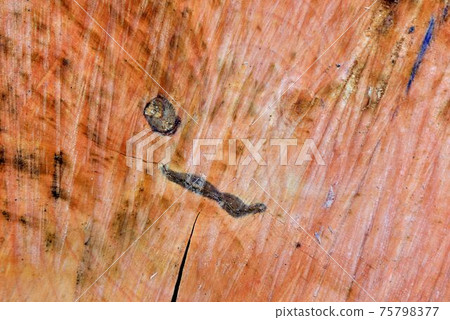 木材紋路背景在台灣山上. 75798377