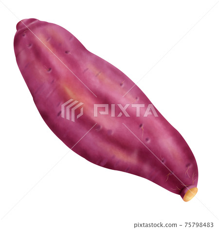 水彩插圖地瓜 水彩插圖地瓜 75798483