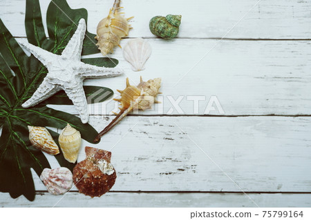 Starfish and Shell decoration with green leave on wooden background 75799164