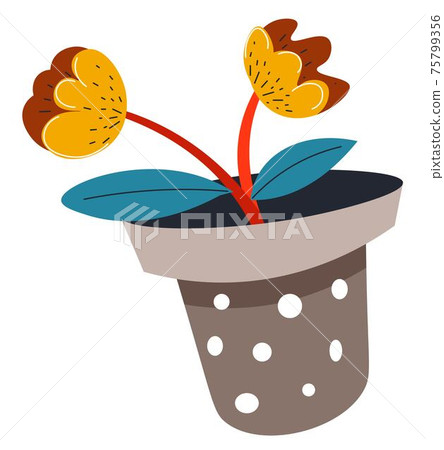 Flower growing in pot, potted plant with flora 75799356