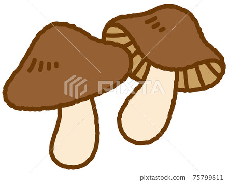 蘑菇 75799811