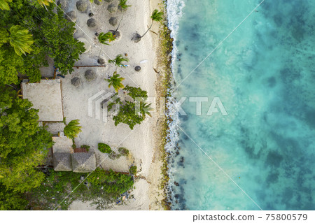 Tropical carribbean beach 75800579