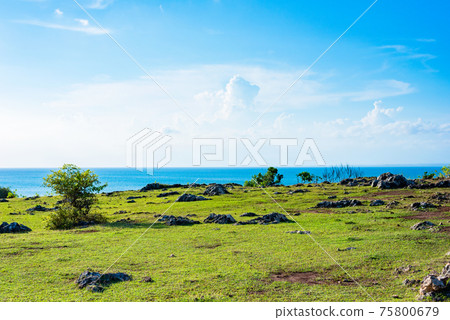 熱帶領域和海 熱帶領域和海 75800679