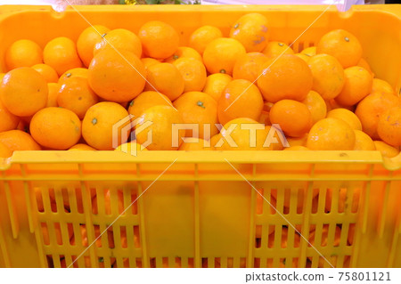 Korean food, Korean food, K food, traditional food, Jeju food, 75801121