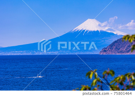 （靜岡縣）背景為富士山的船駛向都營港 75801464