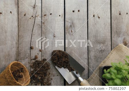 Gardening hobby concept. Eco pot, green plant, shovel, dirt, wooden background 75802207
