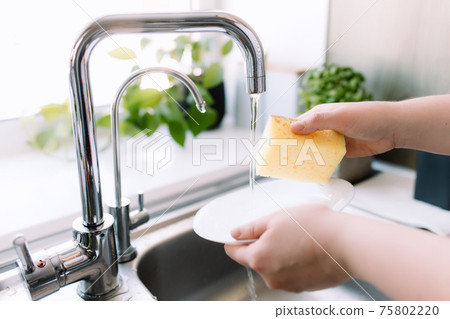 Hhands washing plate with sponge, soap in kitchen in sink under running water 75802220