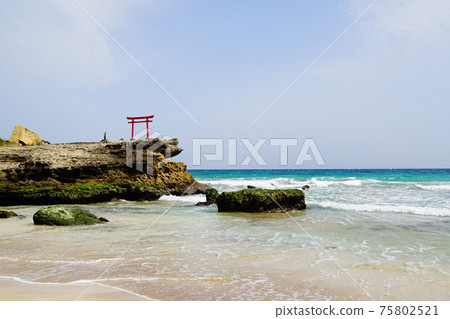 Izu Shimoda Shirahama Shrine Seaside Torii Izu Shimoda Shirahama Shrine Seaside Torii 75802521