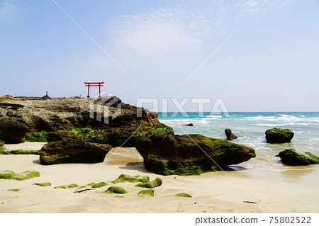 伊豆下田白濱神社海濱牌坊 伊豆下田白濱神社海濱牌坊 75802522
