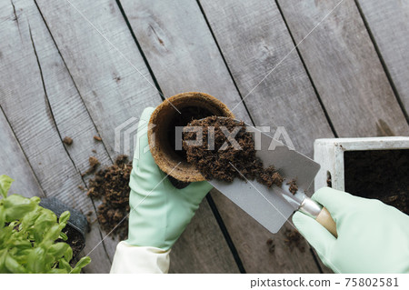 Gardening hobby concept. Eco pot, plant, hands, shovel on wooden background 75802581