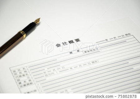 公司簡介文件 75802878
