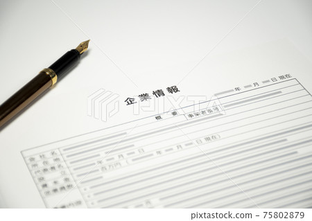公司資料文件 公司資料文件 75802879