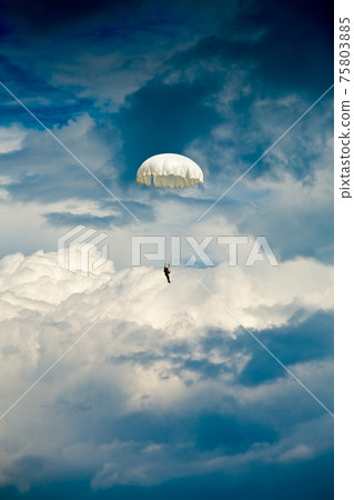 Skydiver 75803885