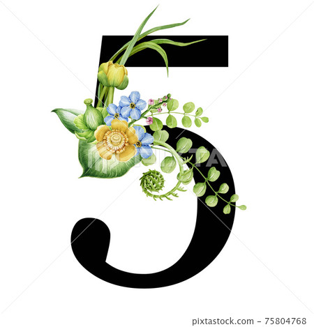 Floral spring alphabet. Number 5. Font element with spring garden flower bouquets composition. Flower number five. Wedding invitations, baby shower, birthday, other ideas. On white background Floral spring alphabet. Number 5. Font element with spring garden flower bouquets composition. Flower number five. Wedding invitations, baby shower, birthday, other ideas. On white background 75804768