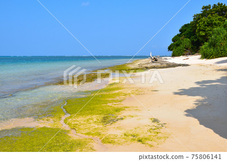 Yatsushige beach 75806141