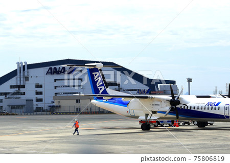 大阪國際機場全日空飛機棚 大阪國際機場全日空飛機棚 75806819
