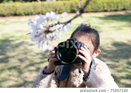 Girl taking pictures with a single-lens reflex camera Girl taking pictures with a single-lens reflex camera 75807280