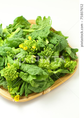 油菜花，漏勺中的新鮮油菜花，白色背景 75807652