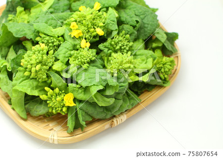 油菜花,漏勺中的新鮮油菜花,白色背景 油菜花,漏勺中的新鮮油菜花,白色背景 75807654