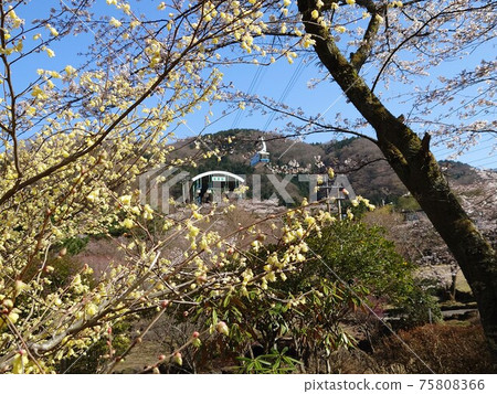 Spring Plateau Station Beppu Ropeway 75808366