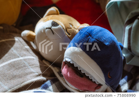 Stuffed little dog and shark Stuffed little dog and shark 75808990