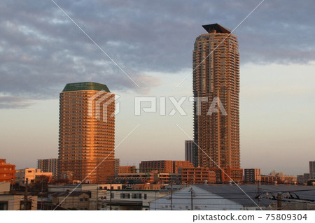 Elsa Tower 55: Kawaguchi City, Saitama Prefecture 75809304