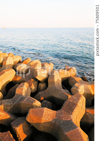 Seascape with tetrapod (wave-dissipating block) (near Urayasu City Cemetery Park in Urayasu City, Chiba Prefecture) Seascape with tetrapod (wave-dissipating block) (near Urayasu City Cemetery Park in Urayasu City, Chiba Prefecture) 75809501