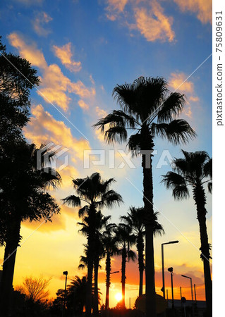 從千葉縣浦安市浦安市一般公園附近看到的日落風光 75809631