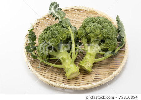 Broccoli on a white background Broccoli on a white background 75810854