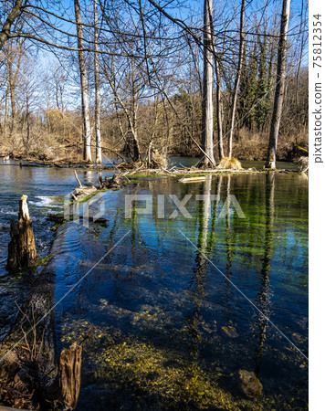 Beautiful hiking trail in Wuermtal, Gauting near Starnberg, Bavaria, Germany Beautiful hiking trail in Wuermtal, Gauting near Starnberg, Bavaria, Germany 75812354