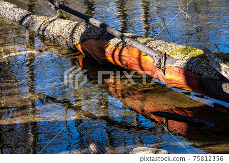 Beautiful hiking trail in Wuermtal, Gauting near Starnberg, Bavaria, Germany 75812356